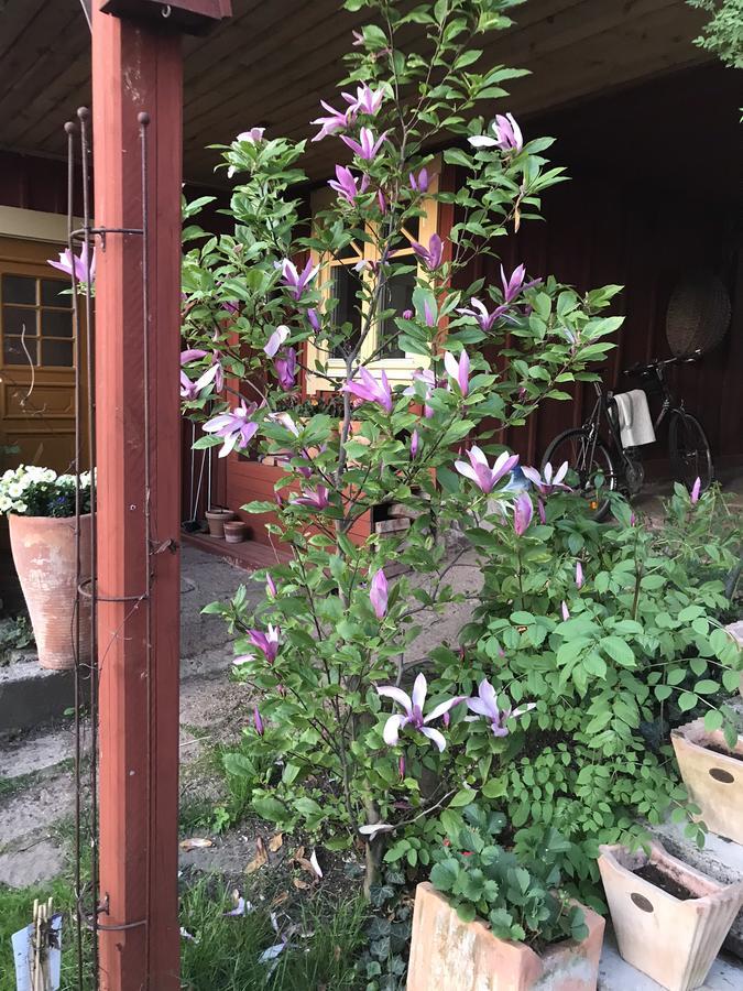 Kyrkstallet Appartamento Gränna Esterno foto